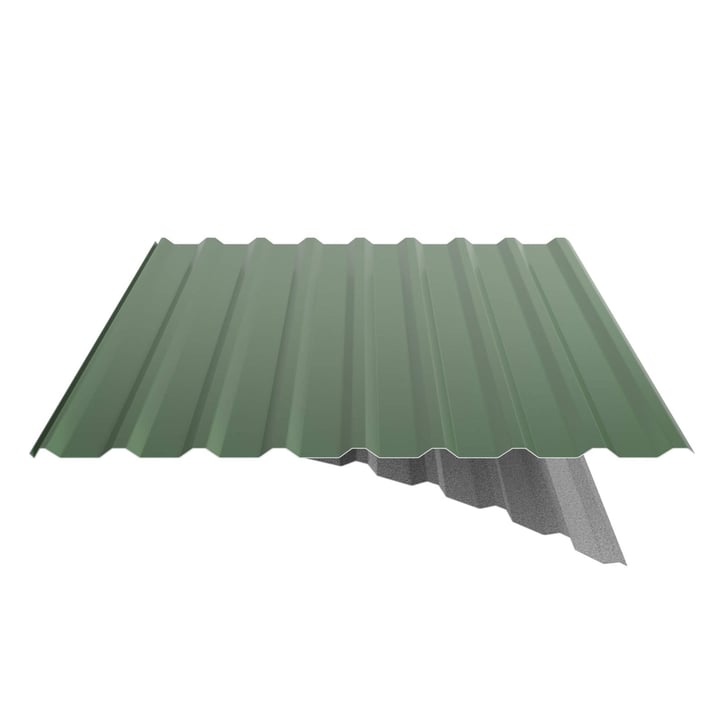 Trapezblech 20/1100 | Dach | Anti-Tropf 1000 g/m² | Stahl 0,50 mm | 25 µm Polyester | 6002 - Laubgrün #6