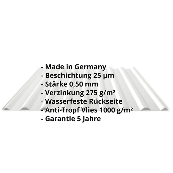 Trapezblech 20/1100 | Dach | Anti-Tropf 1000 g/m² | Stahl 0,50 mm | 25 µm Polyester | 7035 - Lichtgrau #2