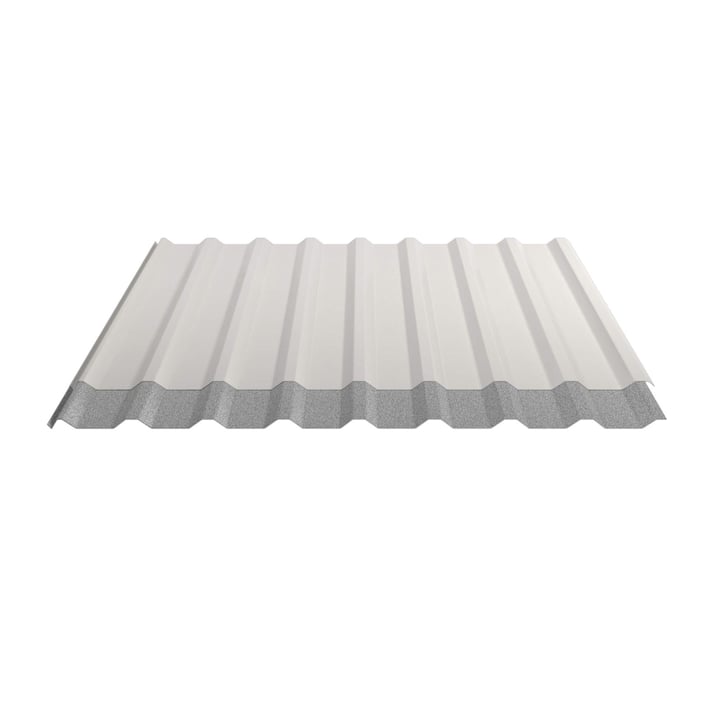 Trapezblech 20/1100 | Dach | Anti-Tropf 1000 g/m² | Stahl 0,50 mm | 25 µm Polyester | 9010 - Reinweiß #5