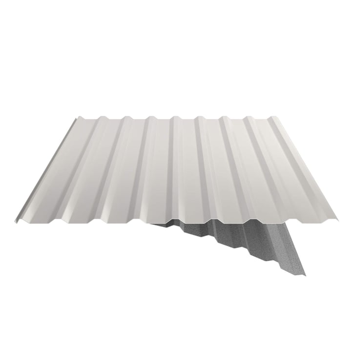 Trapezblech 20/1100 | Dach | Anti-Tropf 1000 g/m² | Stahl 0,50 mm | 25 µm Polyester | 9010 - Reinweiß #6