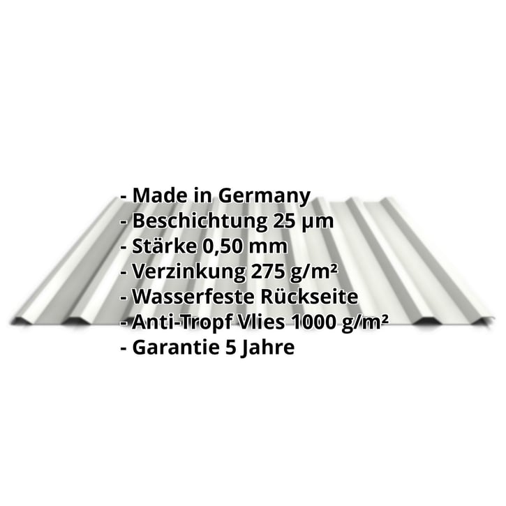 Trapezblech 20/1100 | Dach | Anti-Tropf 1000 g/m² | Stahl 0,50 mm | 25 µm Polyester | 9002 - Grauweiß #2
