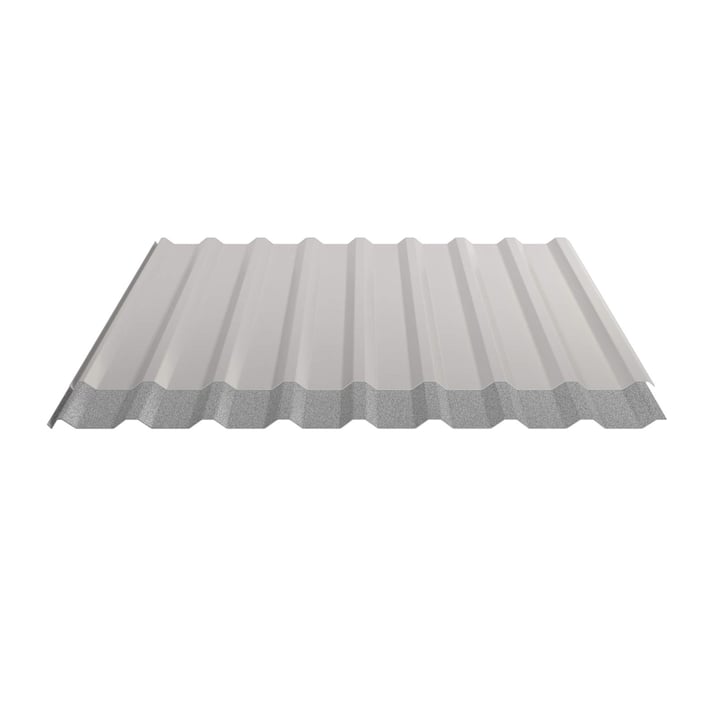 Trapezblech 20/1100 | Dach | Anti-Tropf 1000 g/m² | Stahl 0,50 mm | 25 µm Polyester | 9002 - Grauweiß #5