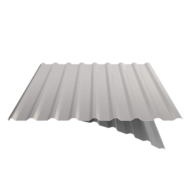 Trapezblech 20/1100 | Dach | Anti-Tropf 1000 g/m² | Stahl 0,50 mm | 25 µm Polyester | 9002 - Grauweiß #6