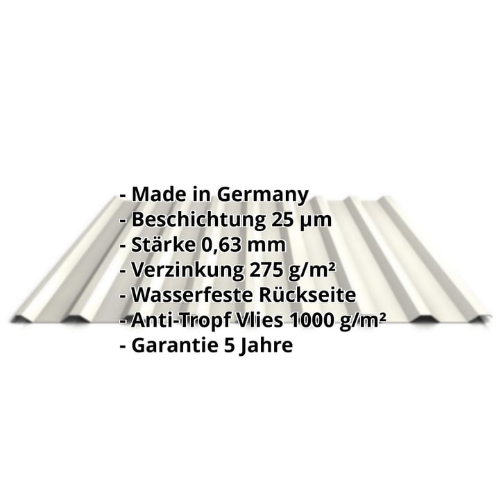 Trapezblech 20/1100 | Dach | Anti-Tropf 1000 g/m² | Stahl 0,63 mm | 25 µm Polyester | 9010 - Reinweiß #2