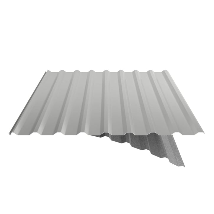 Trapezblech 20/1100 | Dach | Anti-Tropf 1000 g/m² | Stahl 0,75 mm | 25 µm Polyester | 9006 - Weißaluminium #6