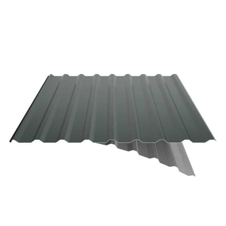 Trapezblech 20/1100 | Dach | Anti-Tropf 1000 g/m² | Stahl 0,50 mm | 60 µm TTHD | 6005 - Moosgrün #6