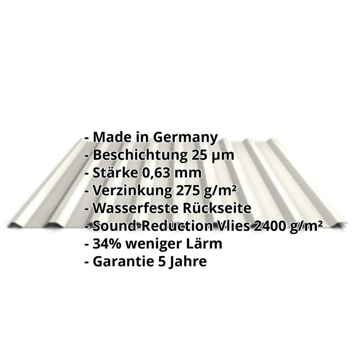 Trapezblech 20/1100 | Dach | Anti-Tropf 2400 g/m² | Stahl 0,63 mm | 25 µm Polyester | 9010 - Reinweiß #2