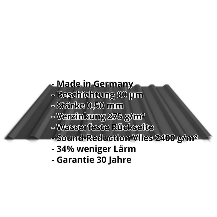 Trapezblech 20/1100 | Dach | Anti-Tropf 2400 g/m² | Stahl 0,50 mm | 80 µm Shimoco | 9005 - Tiefschwarz #2