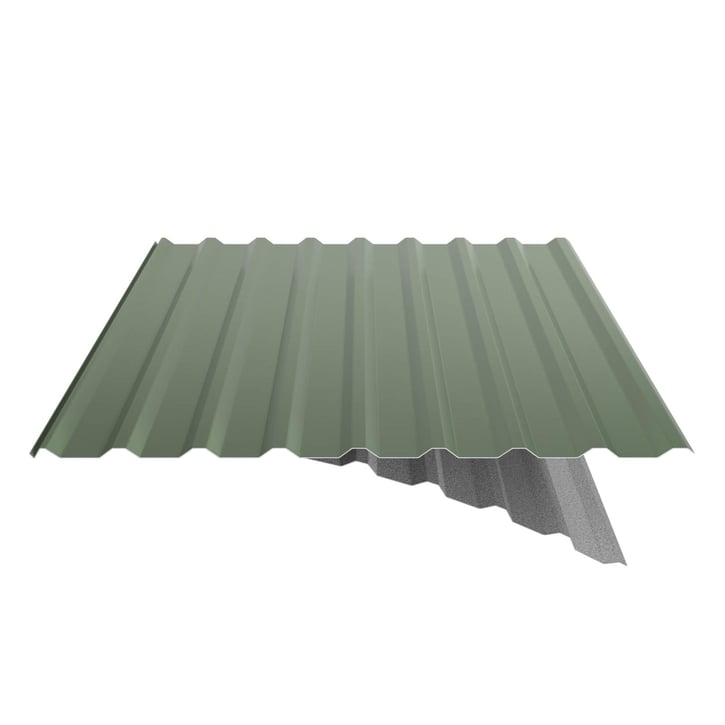 Trapezblech 20/1100 | Dach | Anti-Tropf 700 g/m² | Stahl 0,50 mm | 25 µm Polyester | 6011 - Resedagrün #6
