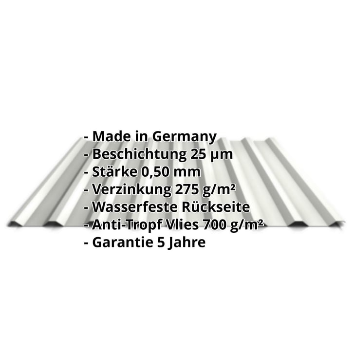 Trapezblech 20/1100 | Dach | Anti-Tropf 700 g/m² | Stahl 0,50 mm | 25 µm Polyester | 9002 - Grauweiß #2