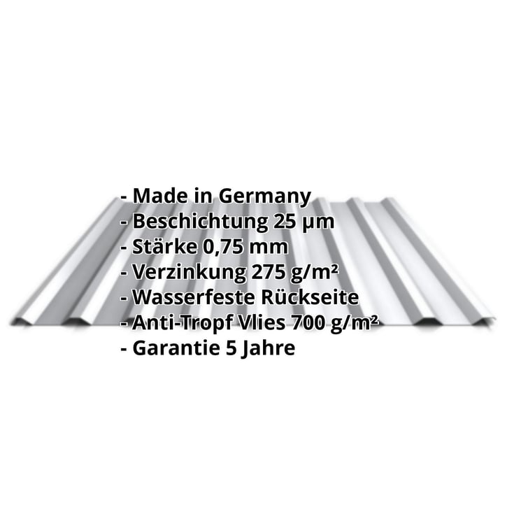 Trapezblech 20/1100 | Dach | Anti-Tropf 700 g/m² | Stahl 0,75 mm | 25 µm Polyester | 9006 - Weißaluminium #2