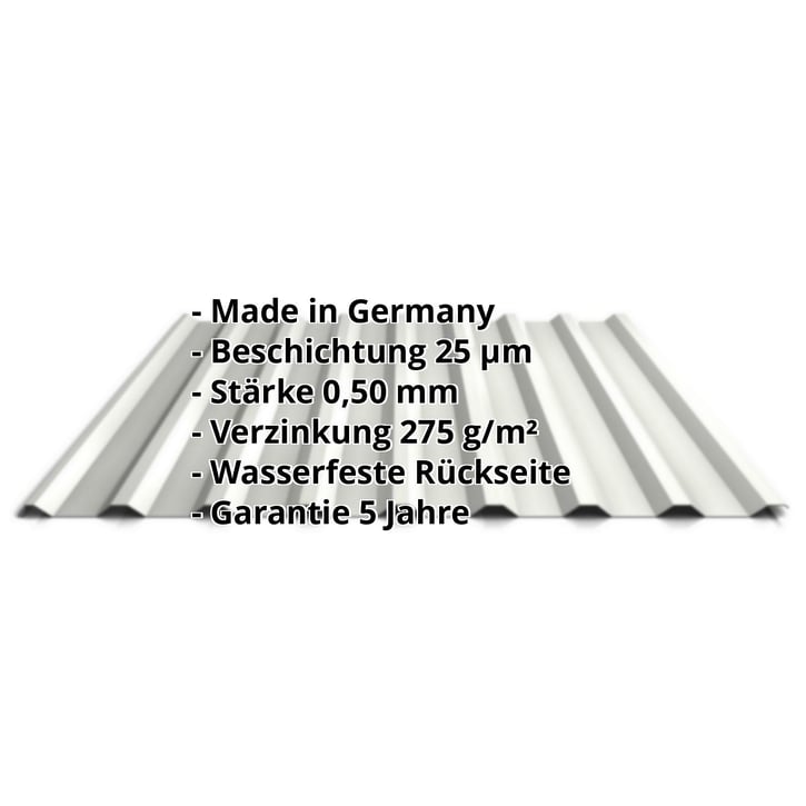 Trapezblech 20/1100 | Dach | Stahl 0,50 mm | 25 µm Polyester | 9002 - Grauweiß #2
