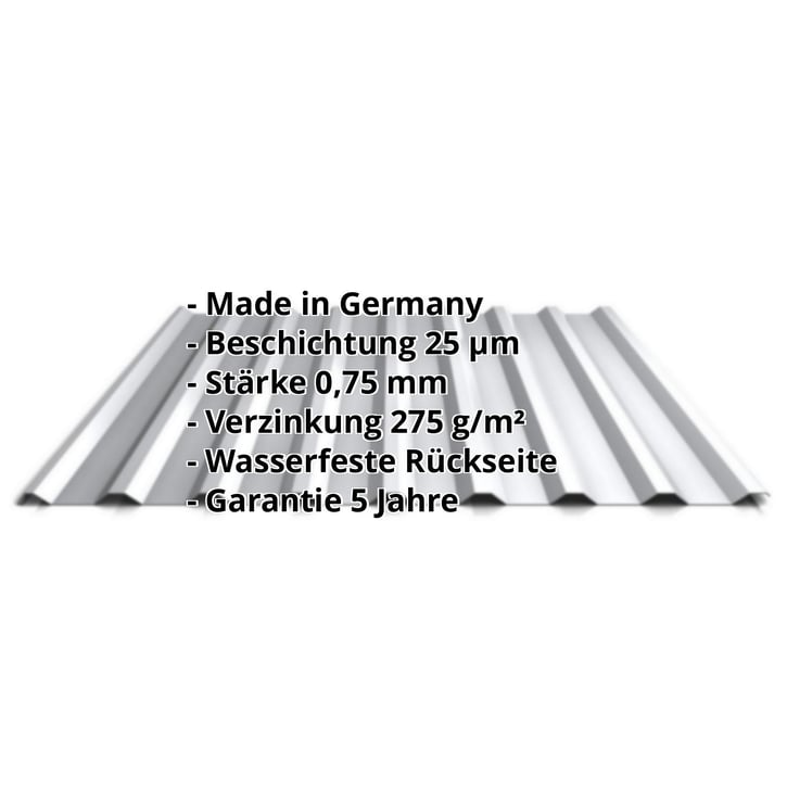 Trapezblech 20/1100 | Dach | Stahl 0,75 mm | 25 µm Polyester | 9006 - Weißaluminium #2