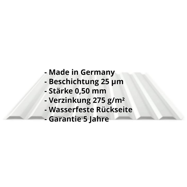 Trapezblech 20/1100 | Wand | Stahl 0,50 mm | 25 µm Polyester | 7035 - Lichtgrau #2