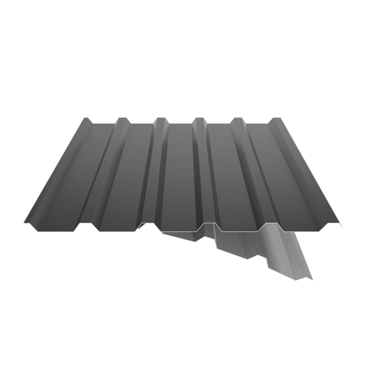 Trapezblech 35/207 | Dach | Anti-Tropf 1000 g/m² | Stahl 0,50 mm | 25 µm Polyester | 9005 - Tiefschwarz #6