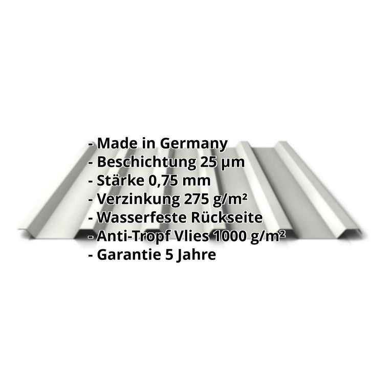 Trapezblech 35/207 | Dach | Anti-Tropf 1000 g/m² | Stahl 0,75 mm | 25 µm Polyester | 9002 - Grauweiß #2