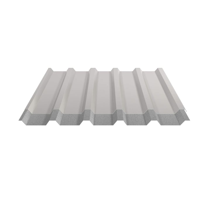 Trapezblech 35/207 | Dach | Anti-Tropf 1000 g/m² | Stahl 0,75 mm | 25 µm Polyester | 9002 - Grauweiß #5
