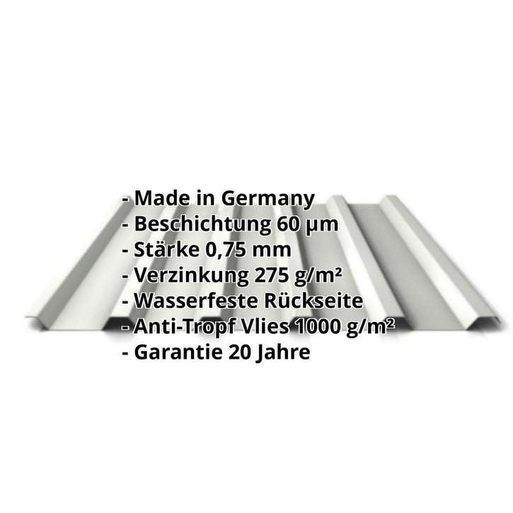 Trapezblech 35/207 | Dach | Anti-Tropf 1000 g/m² | Stahl 0,75 mm | 60 µm Puramid | 9002 - Grauweiß #2