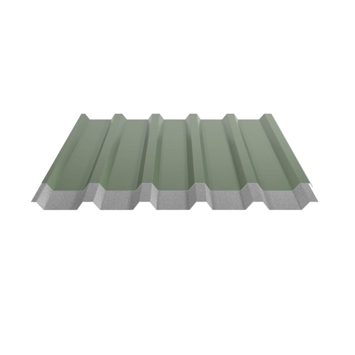 Trapezblech 35/207 | Dach | Anti-Tropf 2400 g/m² | Stahl 0,50 mm | 25 µm Polyester | 6011 - Resedagrün #5