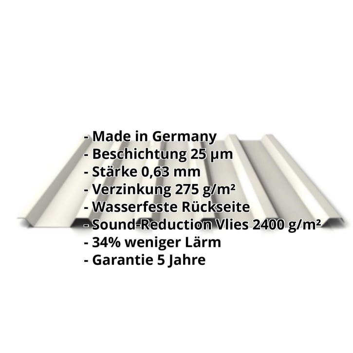 Trapezblech 35/207 | Dach | Anti-Tropf 2400 g/m² | Stahl 0,63 mm | 25 µm Polyester | 9010 - Reinweiß #2