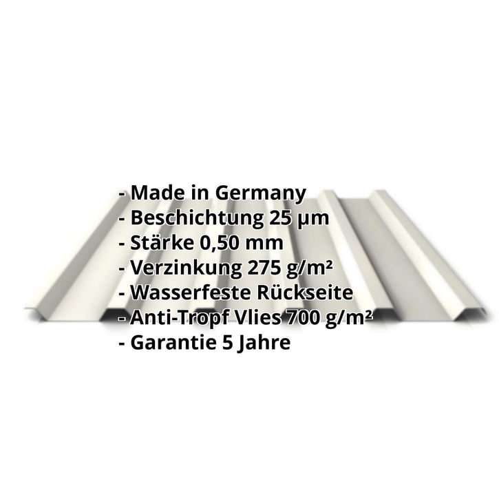 Trapezblech 35/207 | Dach | Anti-Tropf 700 g/m² | Stahl 0,50 mm | 25 µm Polyester | 9010 - Reinweiß #2