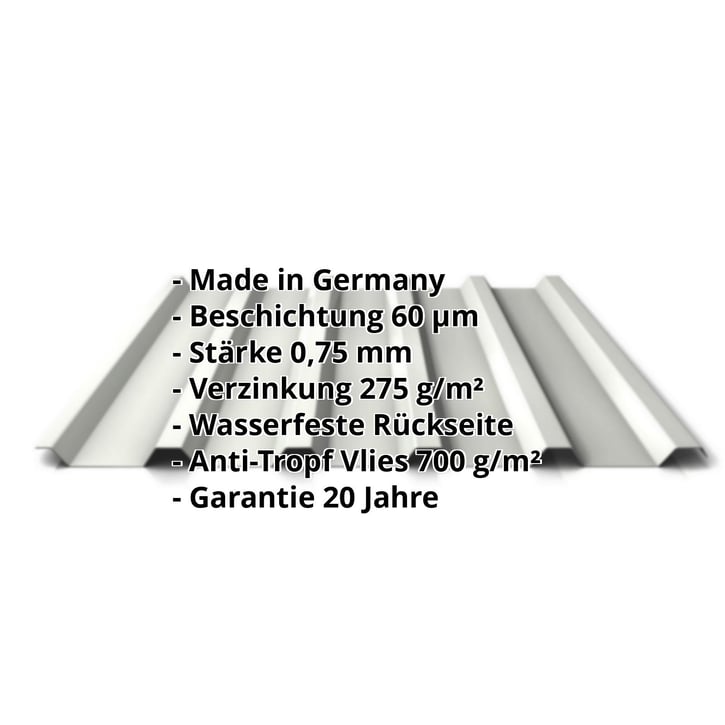 Trapezblech 35/207 | Dach | Anti-Tropf 700 g/m² | Stahl 0,75 mm | 60 µm Puramid | 9002 - Grauweiß #2