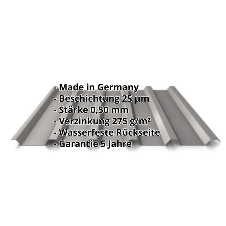 Trapezblech 35/207 | Dach | Stahl 0,50 mm | 25 µm Polyester | 9007 - Graualuminium #2