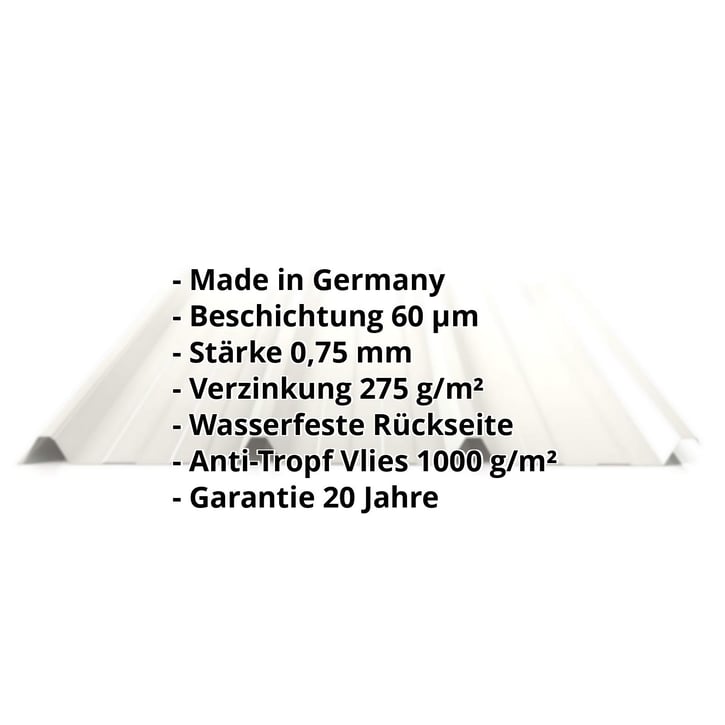 Trapezblech 45/333 | Dach | Anti-Tropf 1000 g/m² | Stahl 0,75 mm | 60 µm Puramid | 9002 - Grauweiß #2