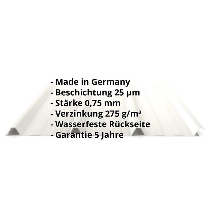 Trapezblech 45/333 | Dach | Stahl 0,75 mm | 25 µm Polyester | 9002 - Grauweiß #2