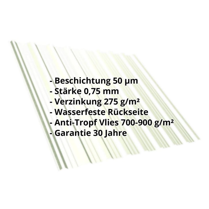 Trapezblech T18DR | Dach | Anti-Tropf 700 g/m² | Stahl 0,75 mm | 50 µm PURLAK® | 9002 - Grauweiß #2