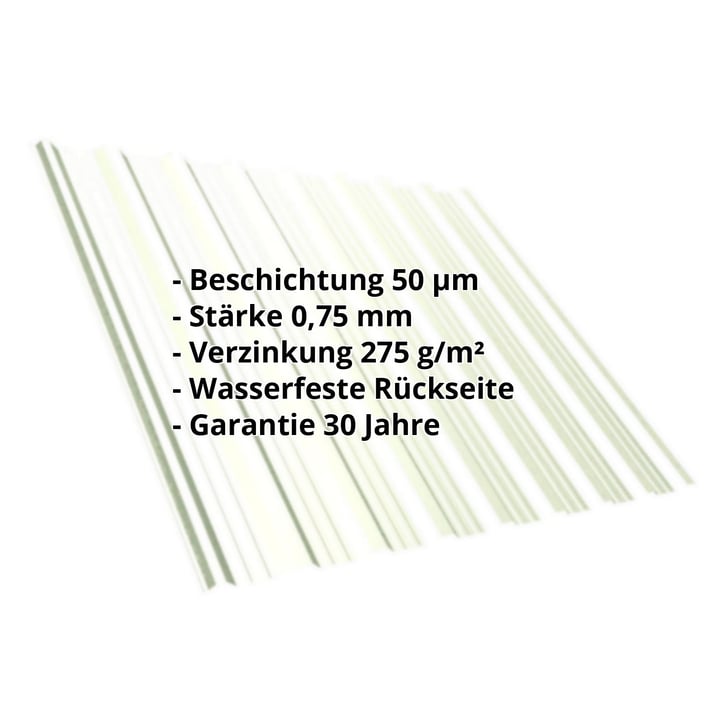 Trapezblech T18DR | Dach | Stahl 0,75 mm | 50 µm PURLAK® | 9002 - Grauweiß #2