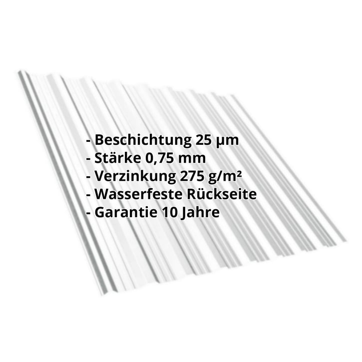 Trapezblech T18DR | Dach | Stahl 0,75 mm | 25 µm Polyester | 7035 - Lichtgrau #2