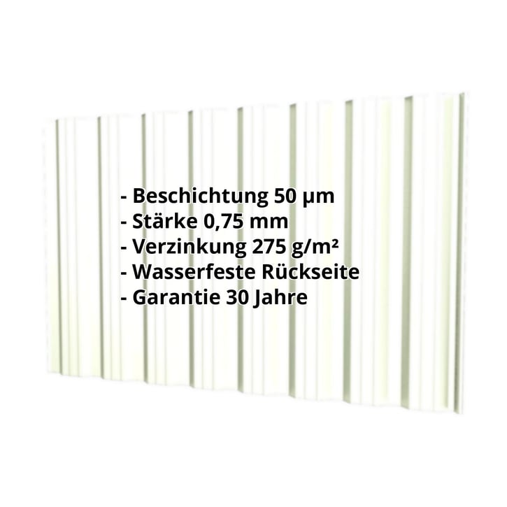 Trapezblech T18DR | Wand | Stahl 0,75 mm | 50 µm PURLAK® | 9002 - Grauweiß #2