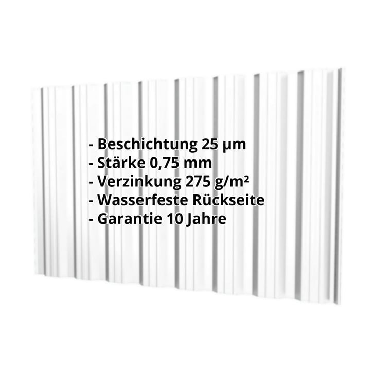 Trapezblech T18DR | Wand | Stahl 0,75 mm | 25 µm Polyester | 7035 - Lichtgrau #2