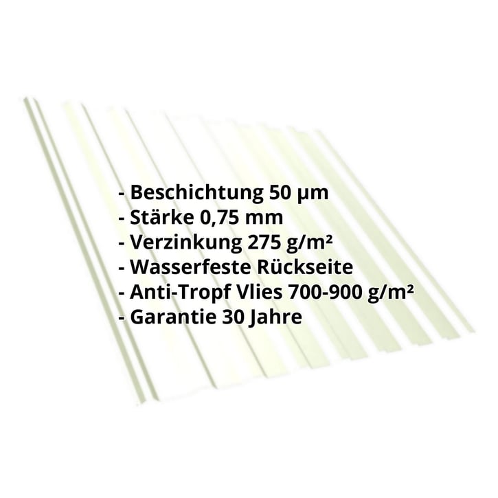 Trapezblech T20M | Dach | Anti-Tropf 700 g/m² | Stahl 0,75 mm | 50 µm PURLAK® | 9002 - Grauweiß #2