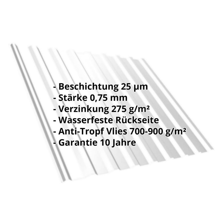 Trapezblech T20M | Dach | Anti-Tropf 700 g/m² | Stahl 0,75 mm | 25 µm Polyester | 7035 - Lichtgrau #2