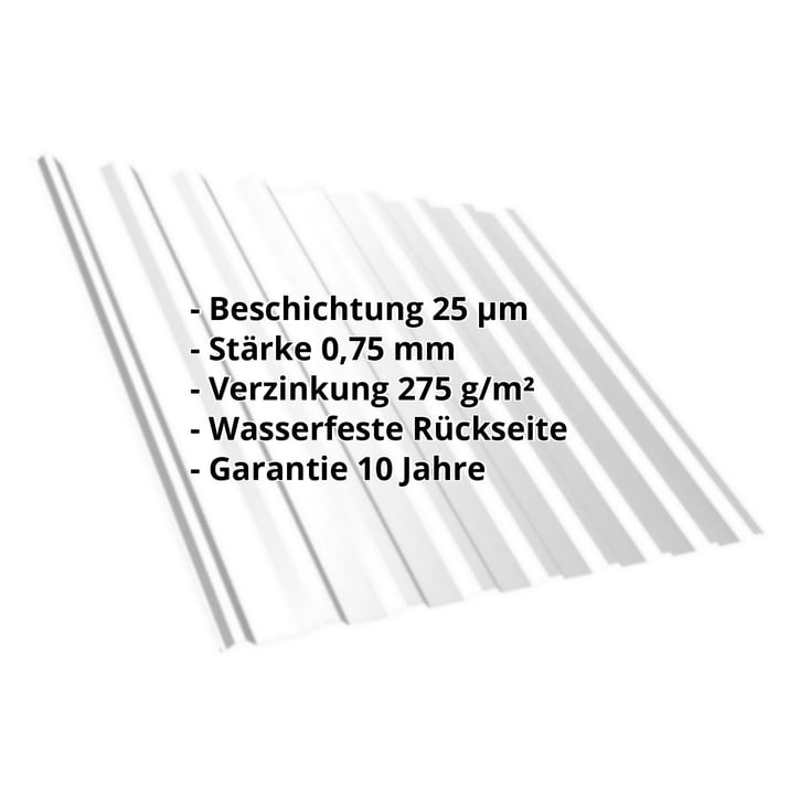 Trapezblech T20M | Dach | Stahl 0,75 mm | 25 µm Polyester | 7035 - Lichtgrau #2