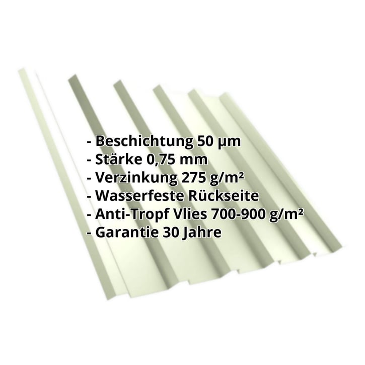 Trapezblech T35/207M | Dach | Anti-Tropf 700 g/m² | Stahl 0,75 mm | 50 µm PURLAK® | 9002 - Grauweiß #2