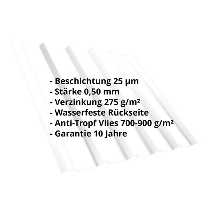 Trapezblech T35/207M | Dach | Anti-Tropf 700 g/m² | Stahl 0,50 mm | 25 µm Polyester | 9010 - Reinweiß #2