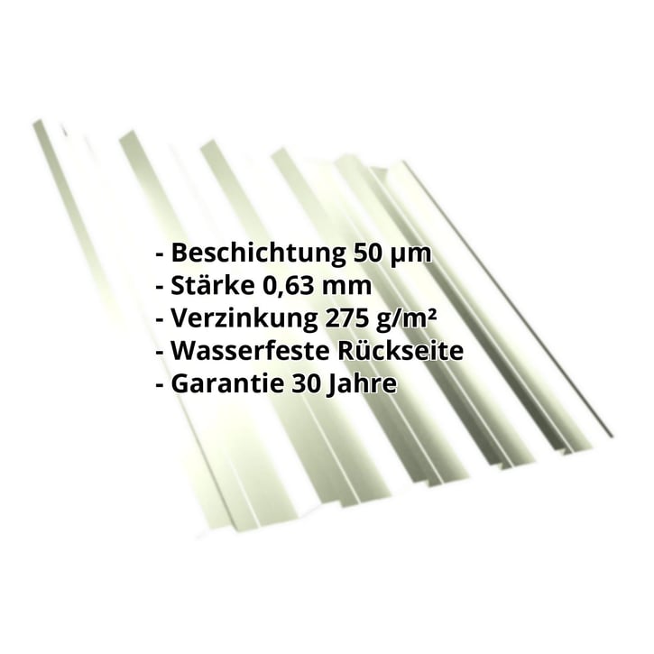 Trapezblech T35DR | Dach | Stahl 0,63 mm | 50 µm PURLAK® | 9002 - Grauweiß #2