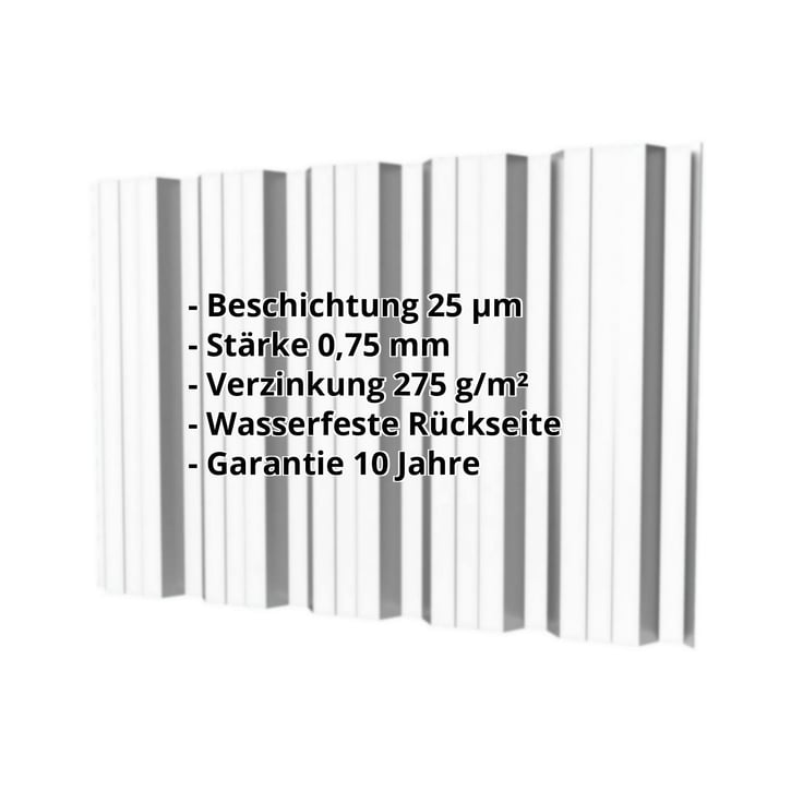 Trapezblech T35DR | Wand | Stahl 0,75 mm | 25 µm Polyester | 7035 - Lichtgrau #2