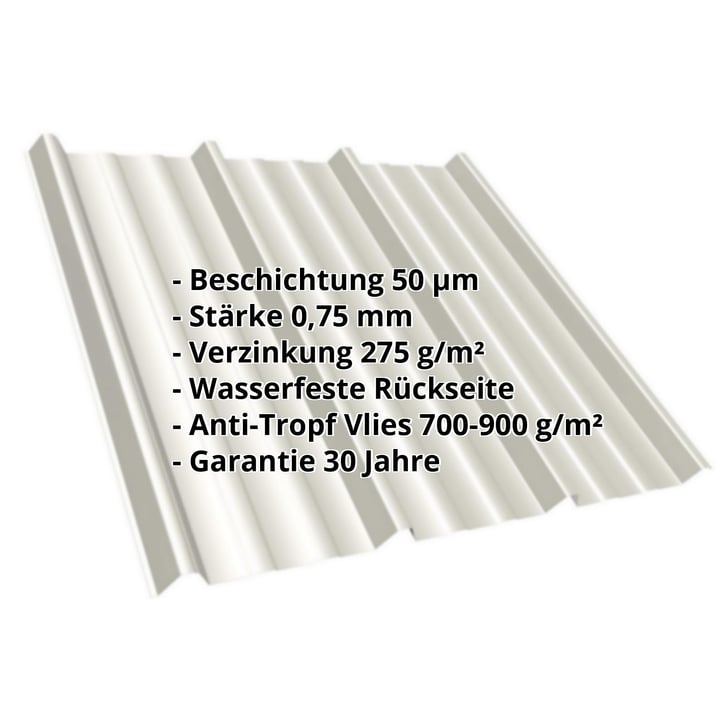 Trapezblech T45/333M | Dach | Anti-Tropf 700 g/m² | Stahl 0,75 mm | 50 µm PURLAK® | 9002 - Grauweiß #2